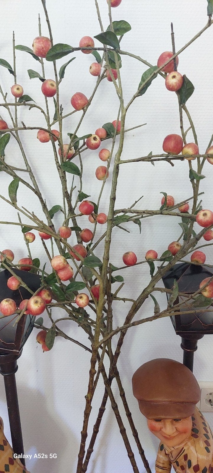 Appelboomtakken, Ophalen of Verzenden