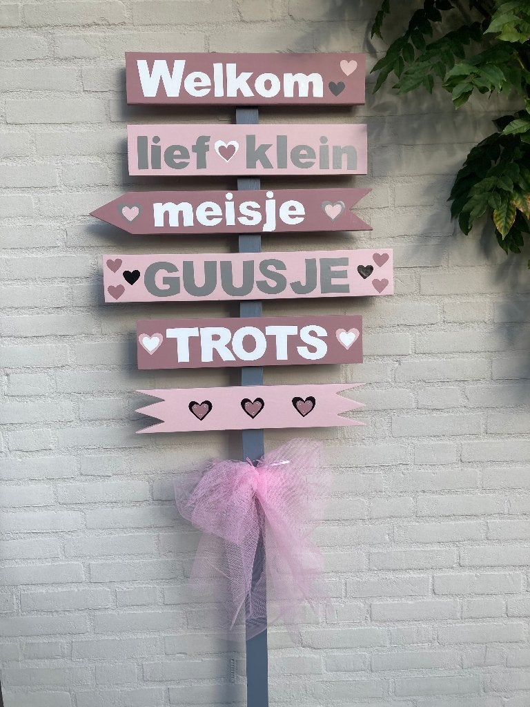 geboorte bord meisje, Ophalen of Verzenden, Nieuw, Geboortebord