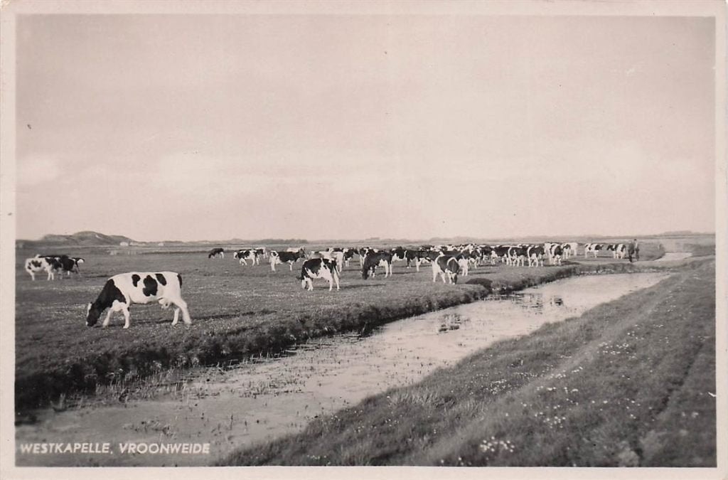 703-075-033 Westkapelle Vroonweide, Ophalen of Verzenden, Voor 1920, Zeeland