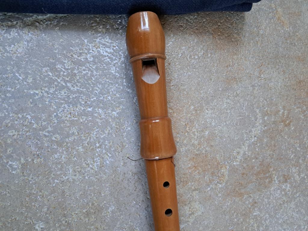 Z.g.a.n sopraan blokfluit Aura, Ophalen of Verzenden, Sopraan of Sopranino