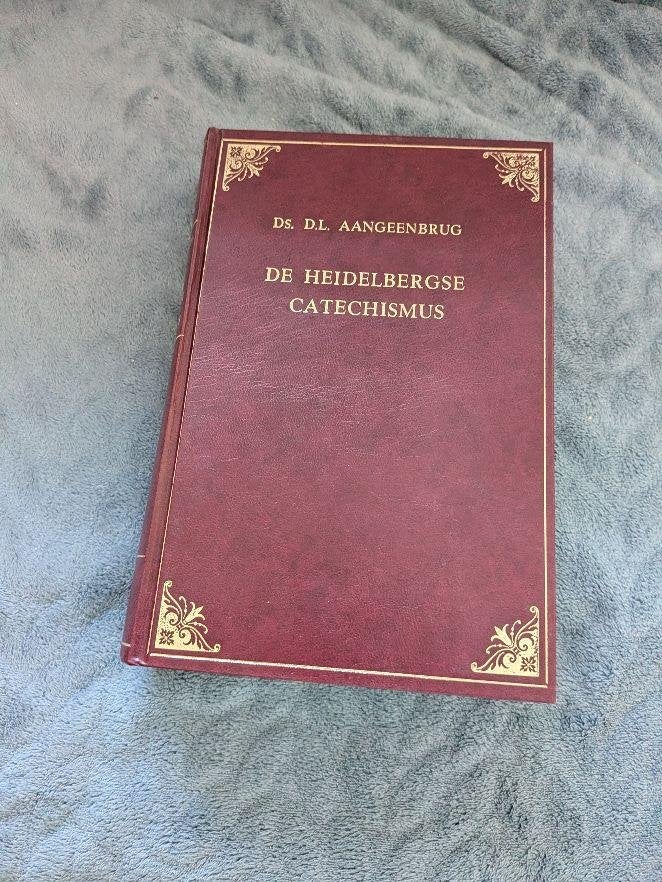 De Heidelbergse Catechismus Ds. D.L. Aangeenbrug =Nieuw=, Ophalen of Verzenden, Nieuw