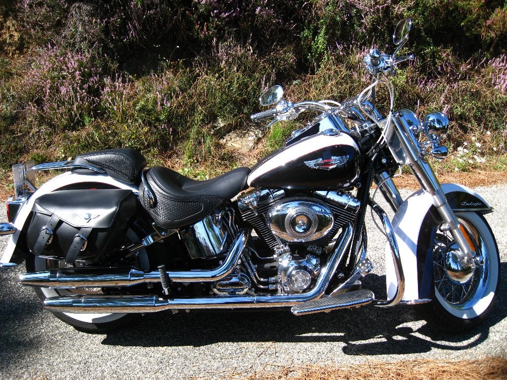 Harley Davidson Softtail de Luxe, Motoren, Motoren | Harley-Davidson, 2 cilinders, Nieuw, Motorrijbewijs A, Meer dan 35 kW