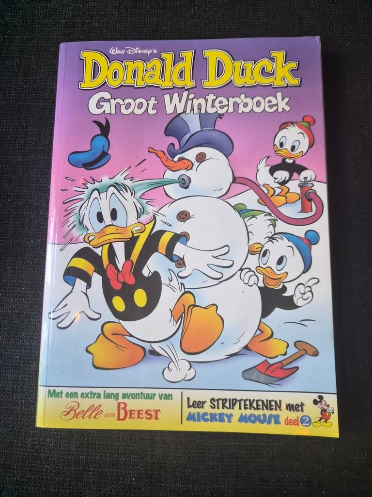 Donald Duck Groot Winterboek - Stripboek, Eén stripboek, Ophalen of Verzenden, Zo goed als nieuw, Walt Disney