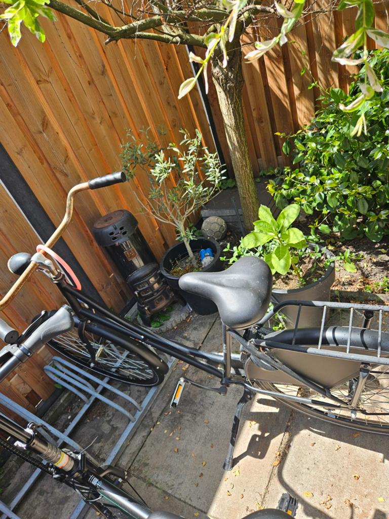 Leuke stationsfiets, Fietsen en Brommers, Fietsen | Dames | Damesfietsen, Overige merken, Terugtraprem, Ophalen of Verzenden, 53 tot 56 cm