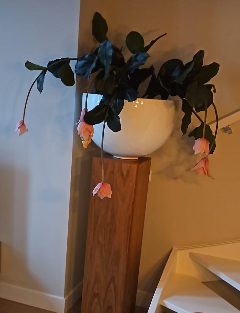Mooie kunststof kamerplant in pot, Ophalen, Volle zon, Minder dan 100 cm