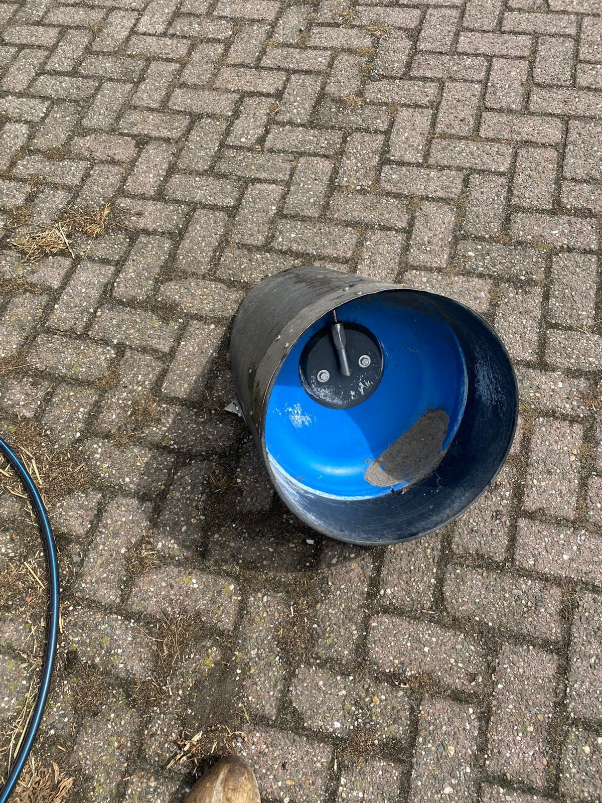 6 zeugen drinkbakken, Mannelijk, Geit