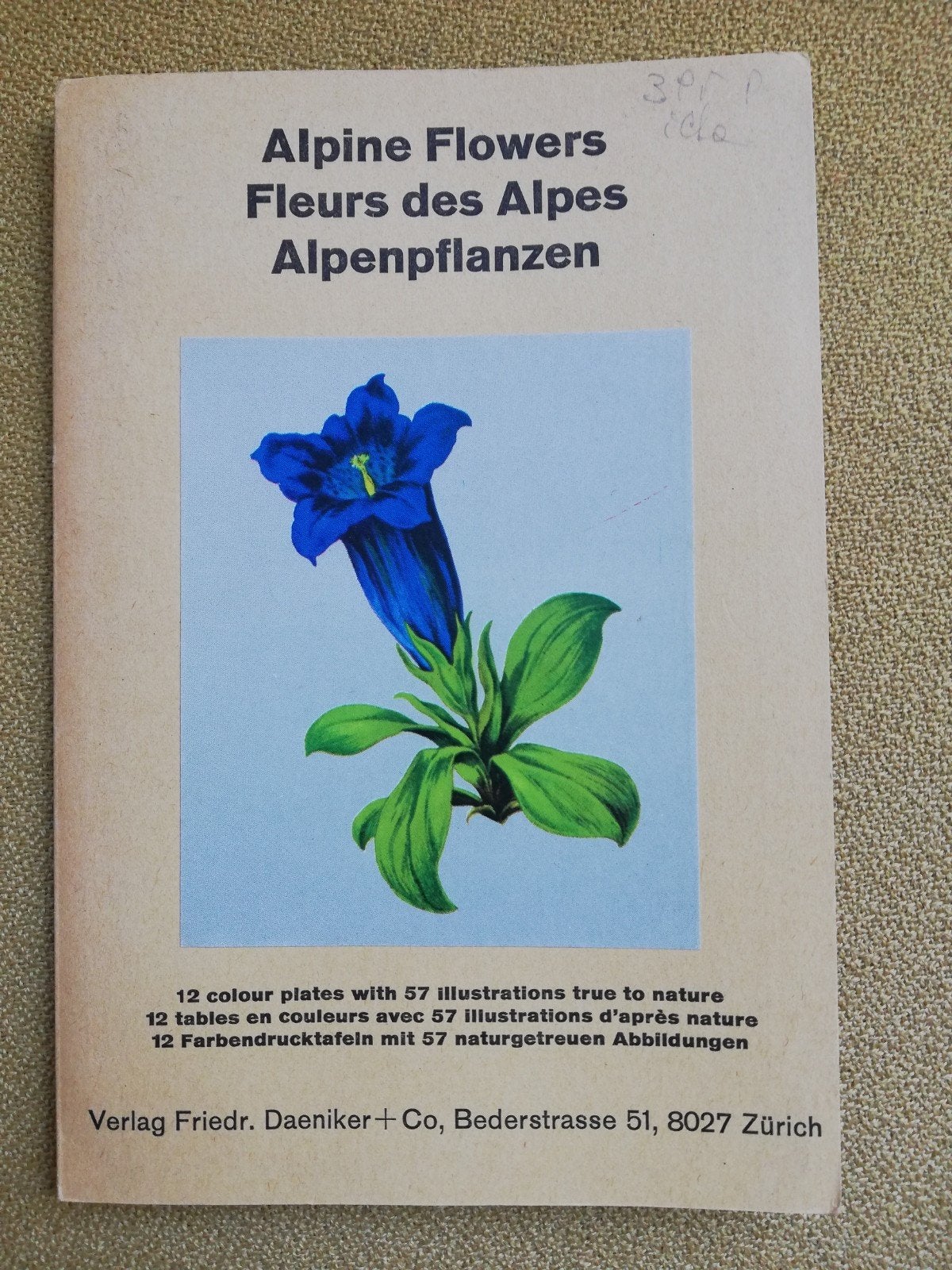 Alpine bloemen flowers /57 illustraties/ Friedrich Daeniker, Ophalen of Verzenden, Gelezen, Bloemen, Planten en Bomen