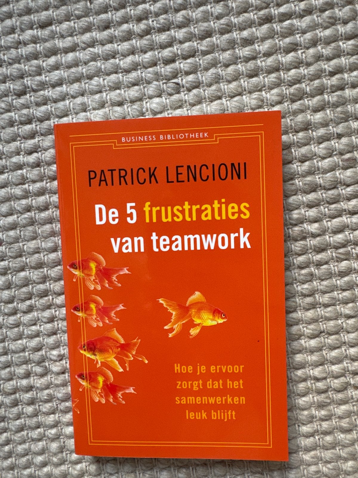 De 5 frustraties van teamwork - Patrick Lencioni, Ophalen of Verzenden, Zo goed als nieuw, Management