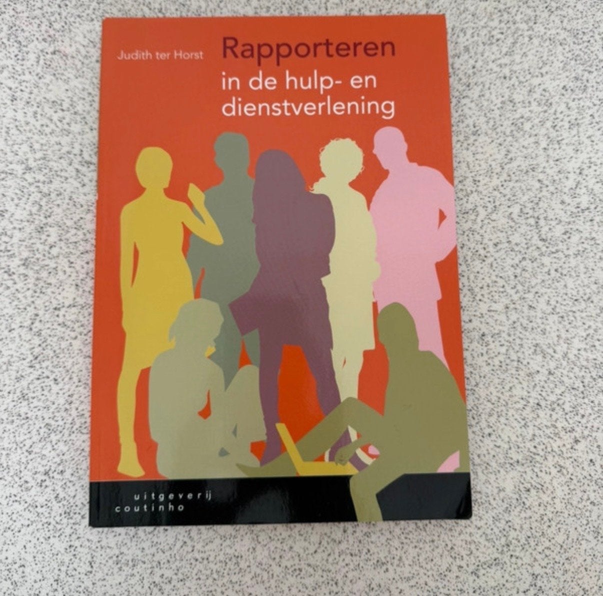 Rapporteren in de hulp- en dienstverlening - Judith ter Hors, Ophalen, Gamma, Zo goed als nieuw, HBO