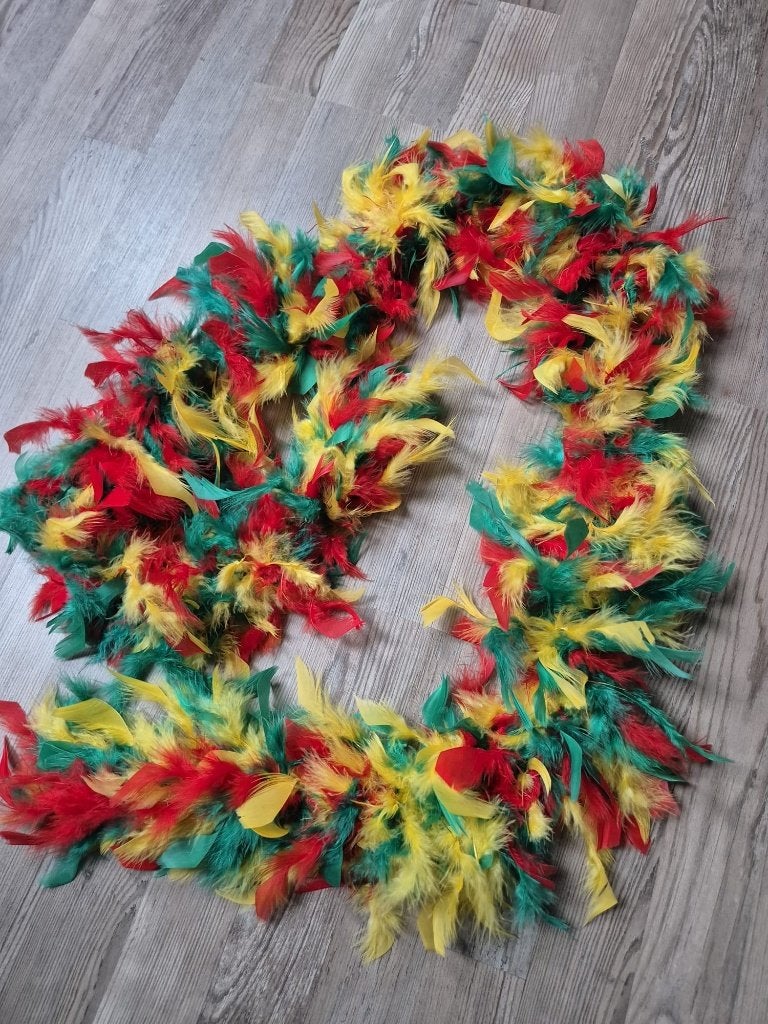 2x Carnaval boa - rood/geel/groen - Limburg/Maastricht, Ophalen of Verzenden, Zo goed als nieuw, Overige typen, Carnaval