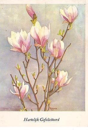 Ansichtkaart 	Bloemen	Magnolia, Verzamelen, Ansichtkaarten | Themakaarten, Verzenden, 1960 tot 1980, Gelopen, Natuur