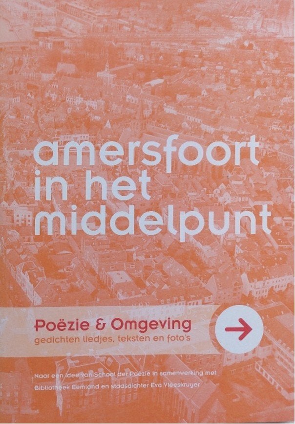 Amersfoort in het middelpunt, Boeken, Ophalen of Verzenden, Zo goed als nieuw