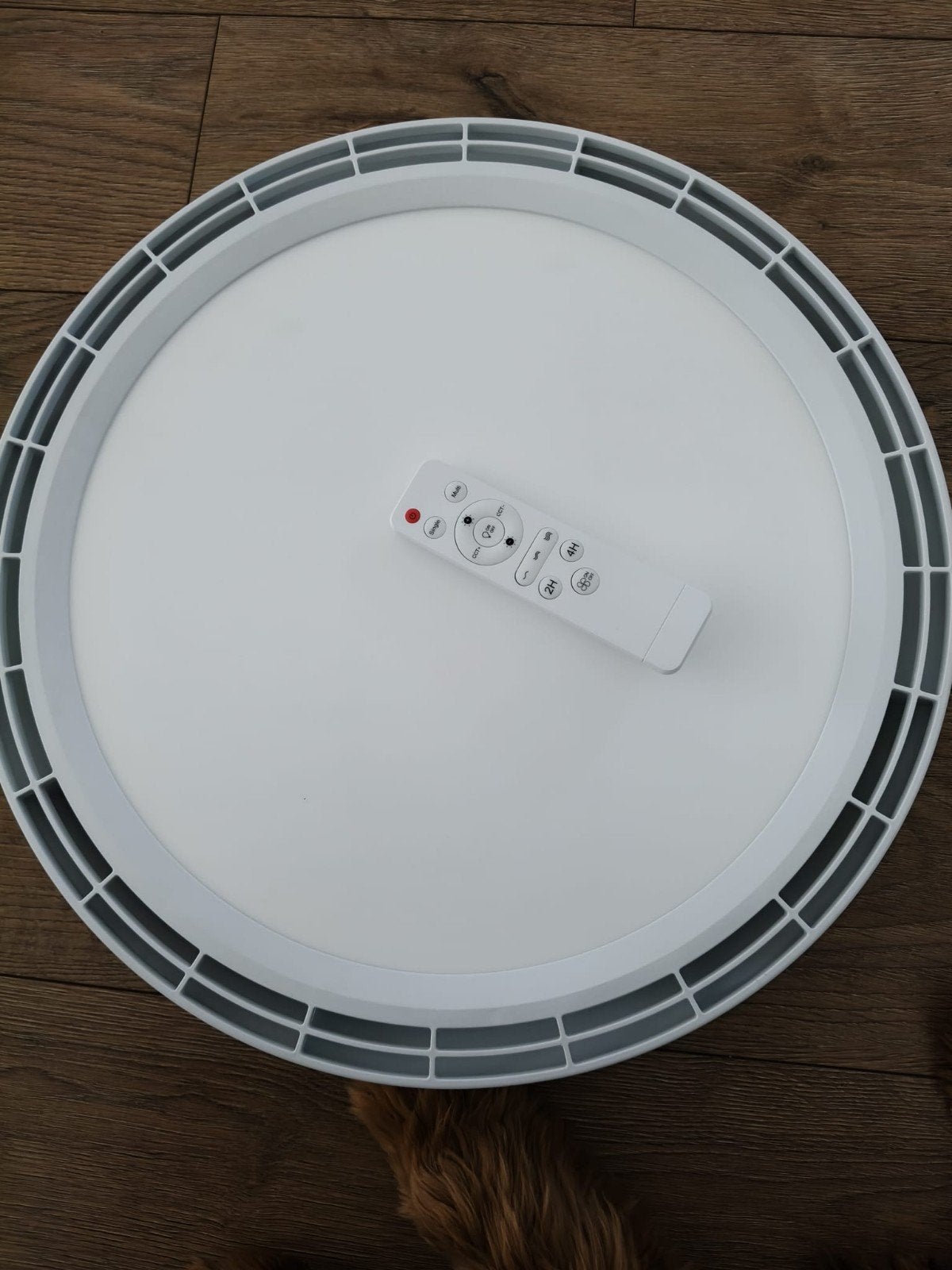 plafond ventilator met licht en afstandsbediening, Witgoed en Apparatuur, Ventilatoren, Ophalen, Zo goed als nieuw