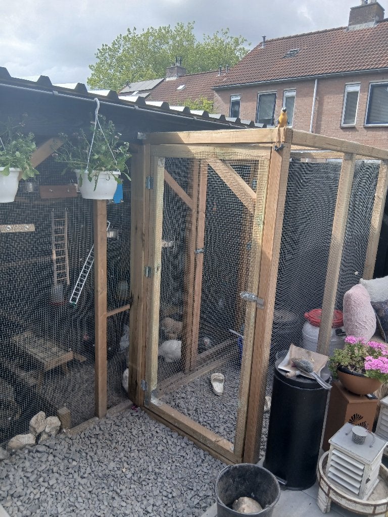 Handgemaakte kippenhokken op maat – Stevig & Duurzaam, Ophalen of Verzenden, Nieuw, Kippenhok of Kippenren