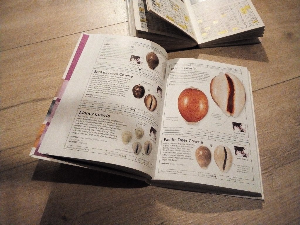 2 mooie en duidelijke schelpenboeken, Ophalen of Verzenden, Schelp(en)