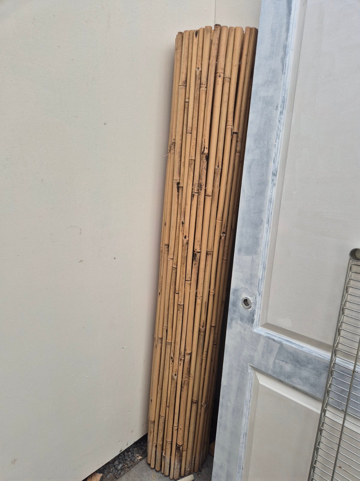Rol bamboe, Tuin en Terras, Ophalen, 150 tot 200 cm, Nieuw, 150 tot 200 cm