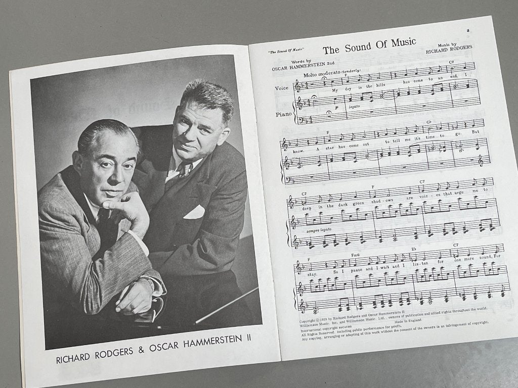 muziek boek, Boeken, Ophalen of Verzenden, Zo goed als nieuw, Algemeen