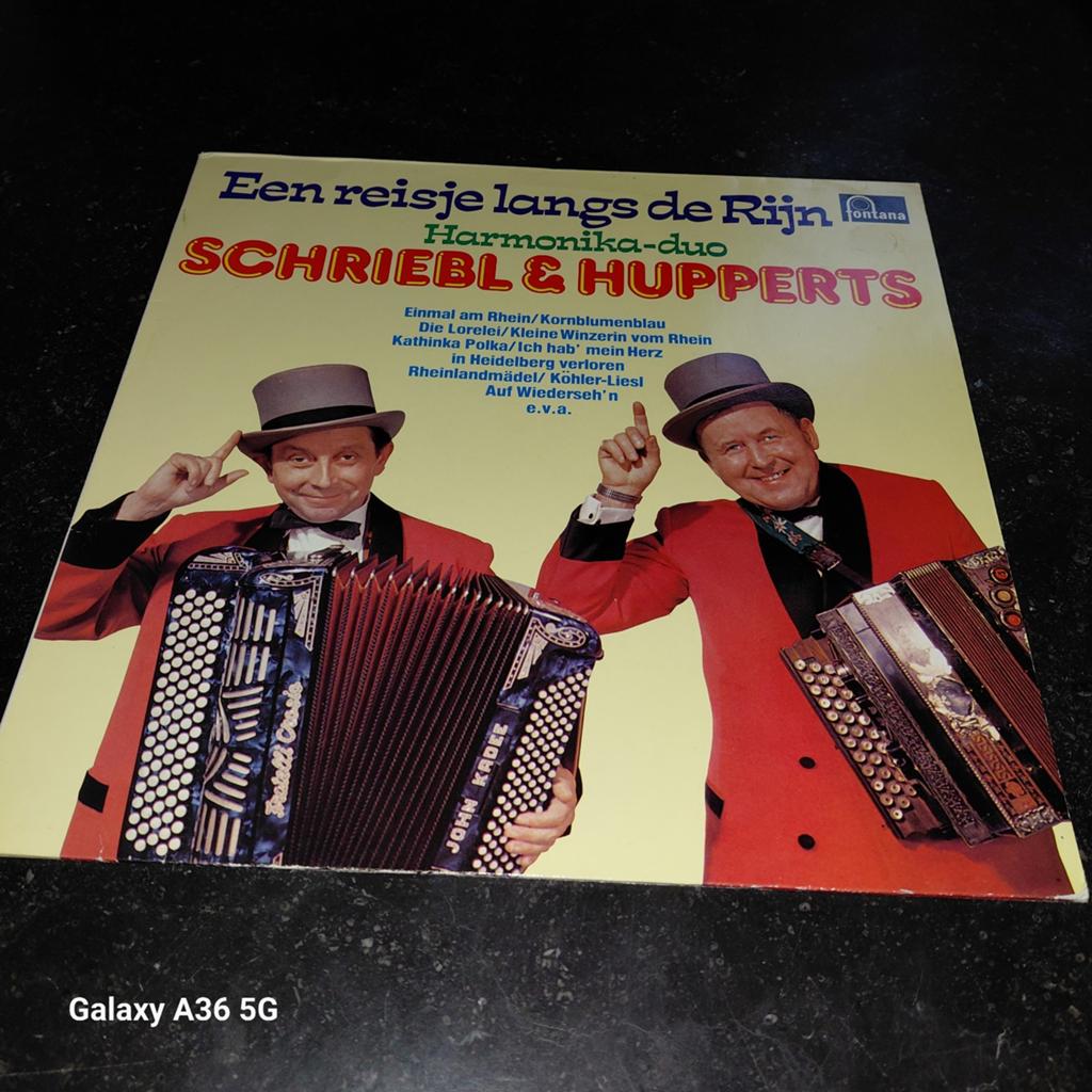 Harmonika-duo Schriebl & Hupperts - Een reisje langs de Rijn, Gebruikt, Ophalen of Verzenden, 12 inch, Streekmuziek
