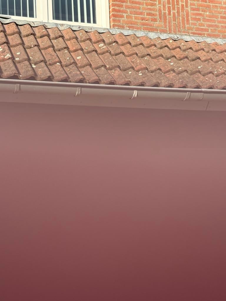 Te koop aangeboden sneldek novo rood, Steen of Klei, Nieuw, Ophalen of Verzenden, Minder dan 5 m²