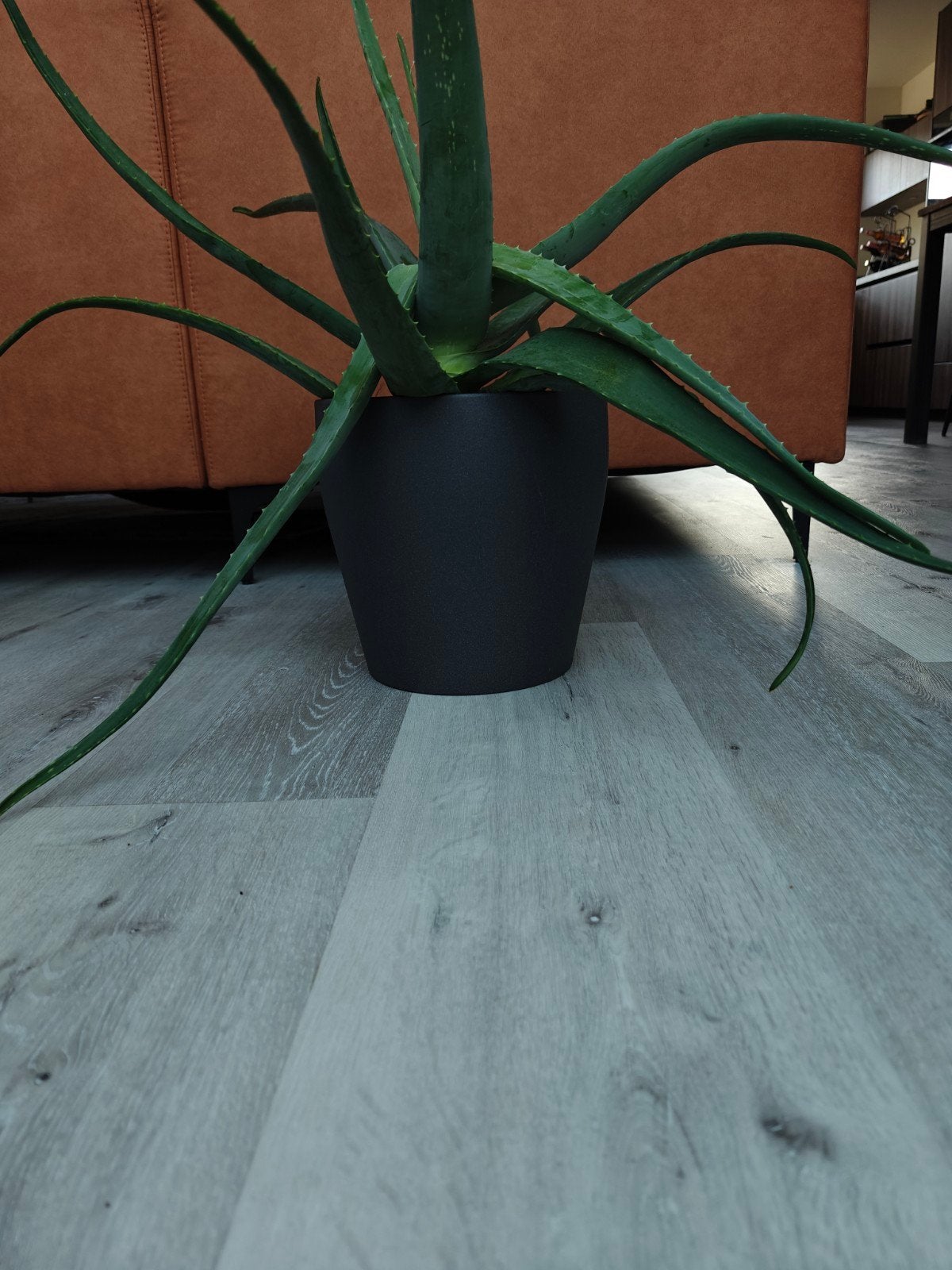 Grote Aloë Vera plant inclusief pot, Huis en Inrichting, Kamerplanten, Ophalen, Vetplant, In pot, Minder dan 100 cm