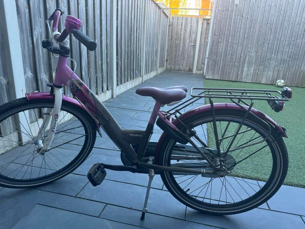 Alpina fiets 24 inch, Ophalen, Terugtraprem, Handrem, Gebruikt