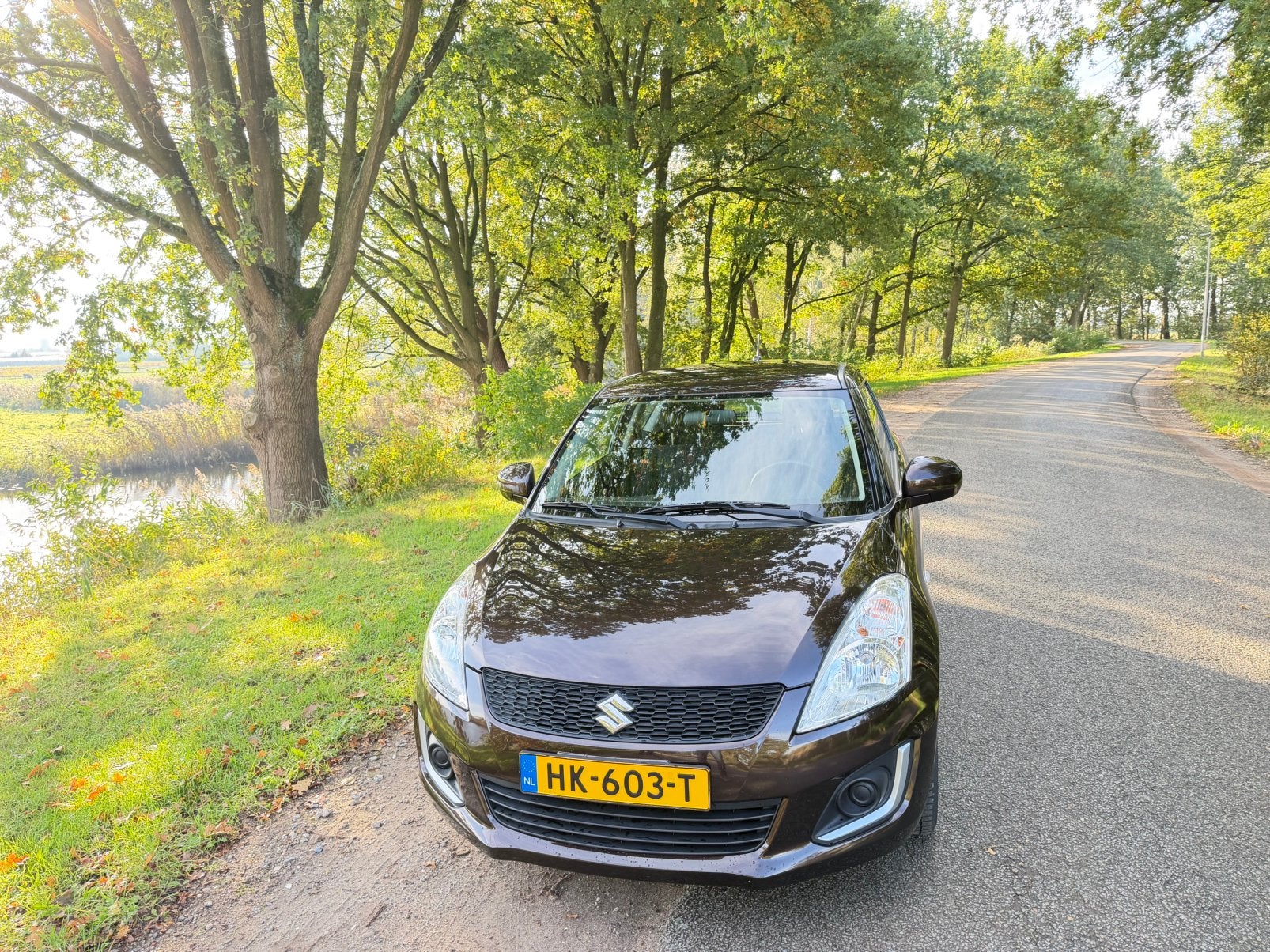 Suzuki Swift 1.2 3D 2015 Bruin, Auto's, Voorwielaandrijving, 4 cilinders, Bruin, Alcantara