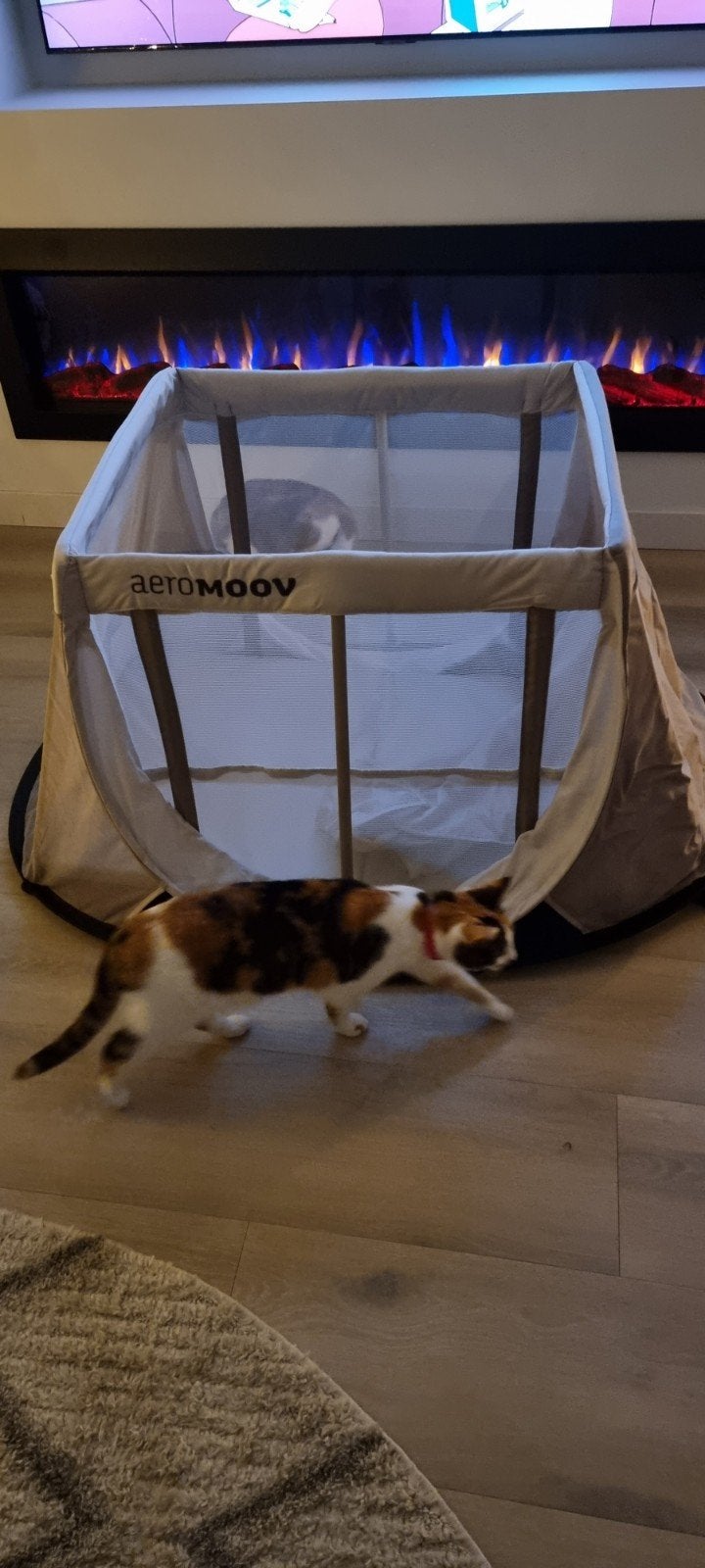 AeroMoov Instant Reisbedje - Lichtgewicht en Compact, Ophalen, Zo goed als nieuw, Reisbedje