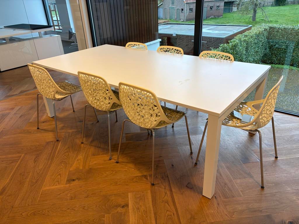 Grote eettafel met 8 stoelen, Ophalen of Verzenden, Gebruikt, 8 stoelen of meer