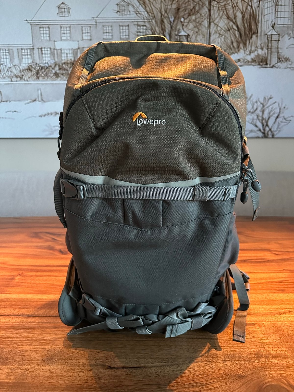 Lowepro Flipside Trek BP 450 AW Cameratas - Rugzak, Lowepro, Rugtas, Gevoerd, Ophalen of Verzenden