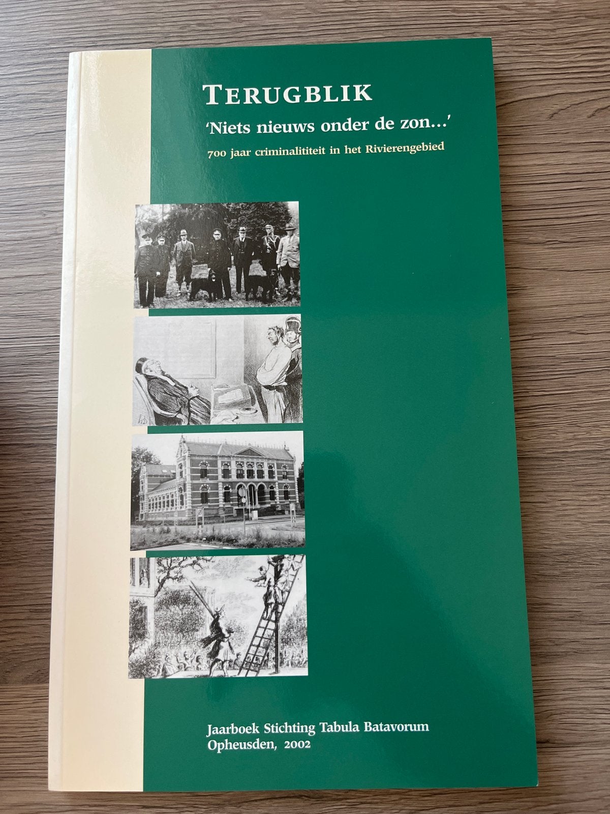 Terugblik: 700 jaar criminaliteit in het Rivierenland, Boeken, Ophalen of Verzenden, 20e eeuw of later, Zo goed als nieuw