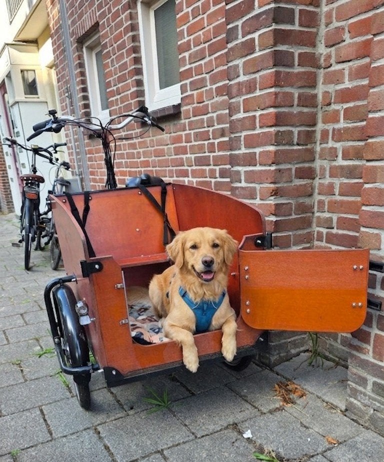 Elektrische Babboe hondenbakfiets met deurtje, Overige merken, Gebruikt, Goederen, Elektrisch