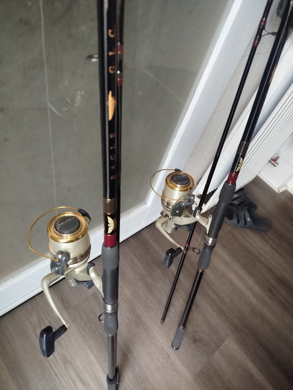 🌟LIMITED EDITION🌟 fenwick eagle karper vishengelset, Watersport en Boten, Ophalen, Overige typen