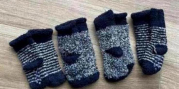 Anti slip sokkenpakket (winter) maat 19-22, Kinderen en Baby's, Babykleding | Schoentjes en Sokjes, Ophalen of Verzenden
