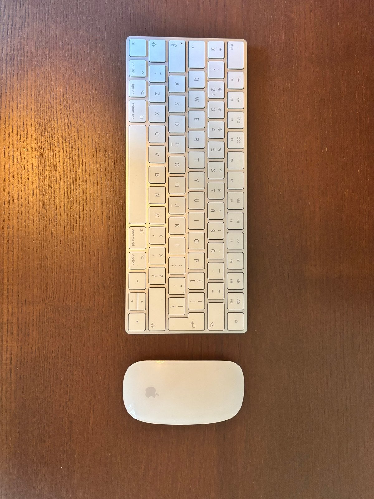 Apple Magic Keyboard + Magic Mouse - in zeer goede staat, Computers en Software, Toetsenborden, Ophalen of Verzenden, Zo goed als nieuw