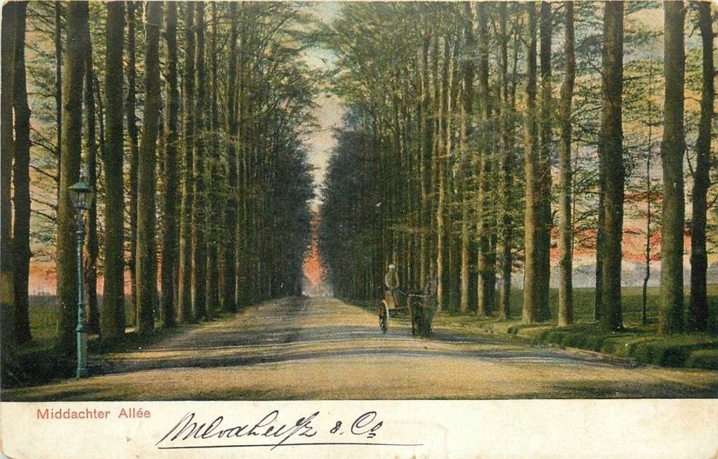 388-229-029 De Steeg Middachter Allee, Verzenden, Voor 1920, Gelderland