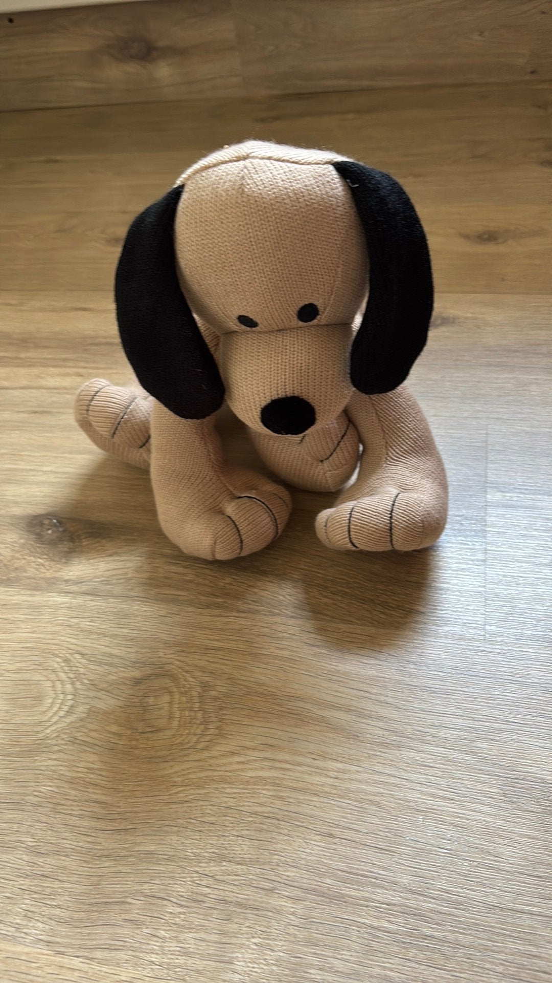 Knuffelhond, Ophalen of Verzenden, Zo goed als nieuw, Hond, Hema
