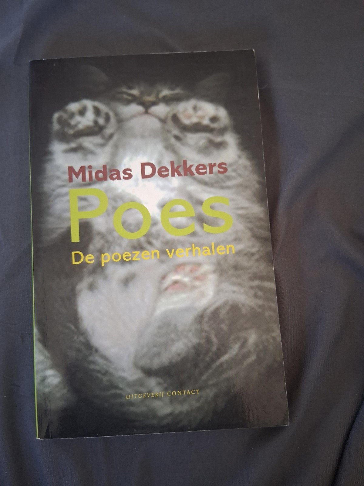 Midas Dekkers - Poes, Boeken, Midas Dekkers, Sociale wetenschap, Ophalen of Verzenden, Zo goed als nieuw