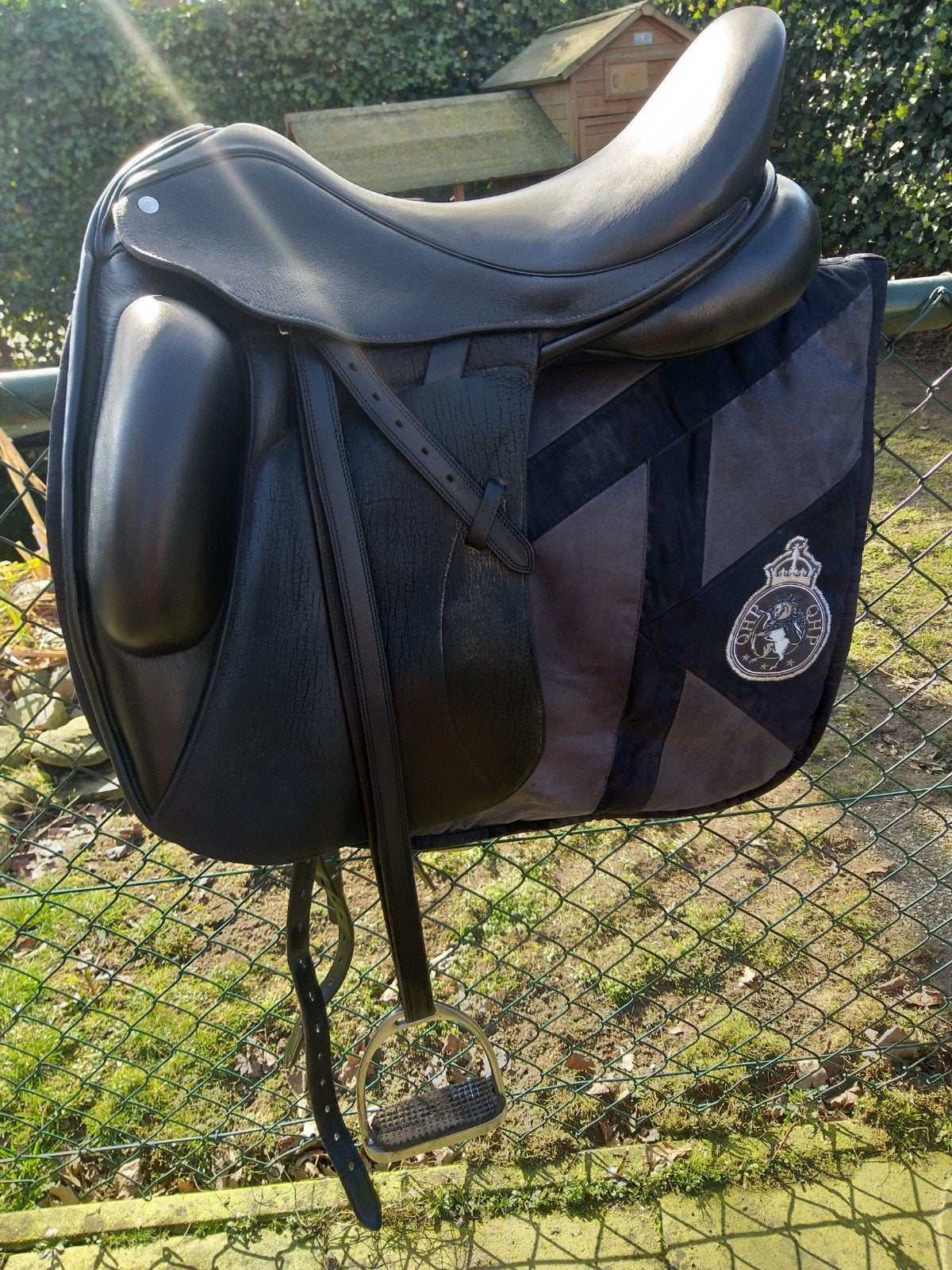 Custom Icon Alpha, Dieren en Toebehoren, Ophalen, Dressuur