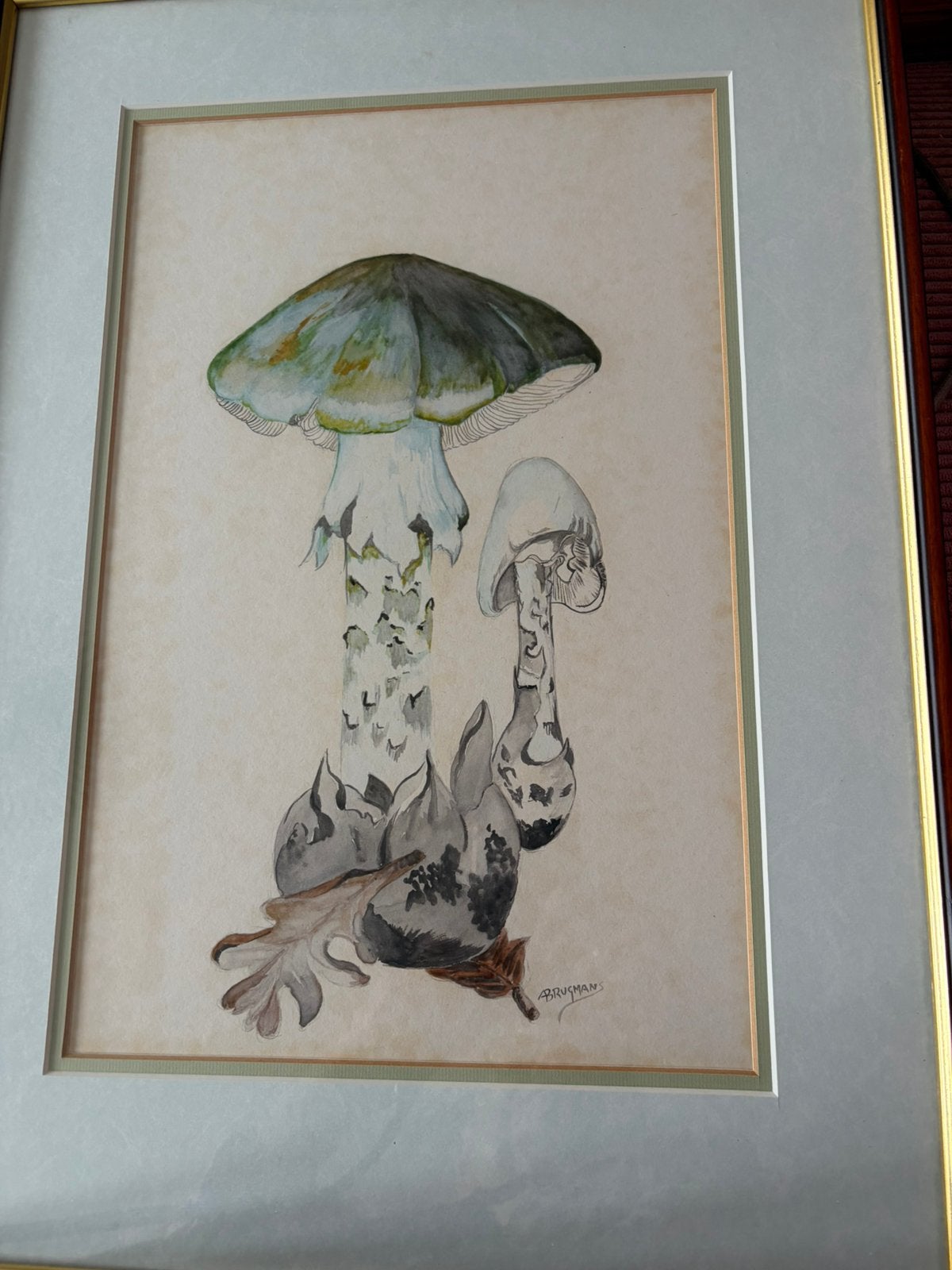 Aquarel  paddestoel, Antiek en Kunst, Ophalen, Aquarel