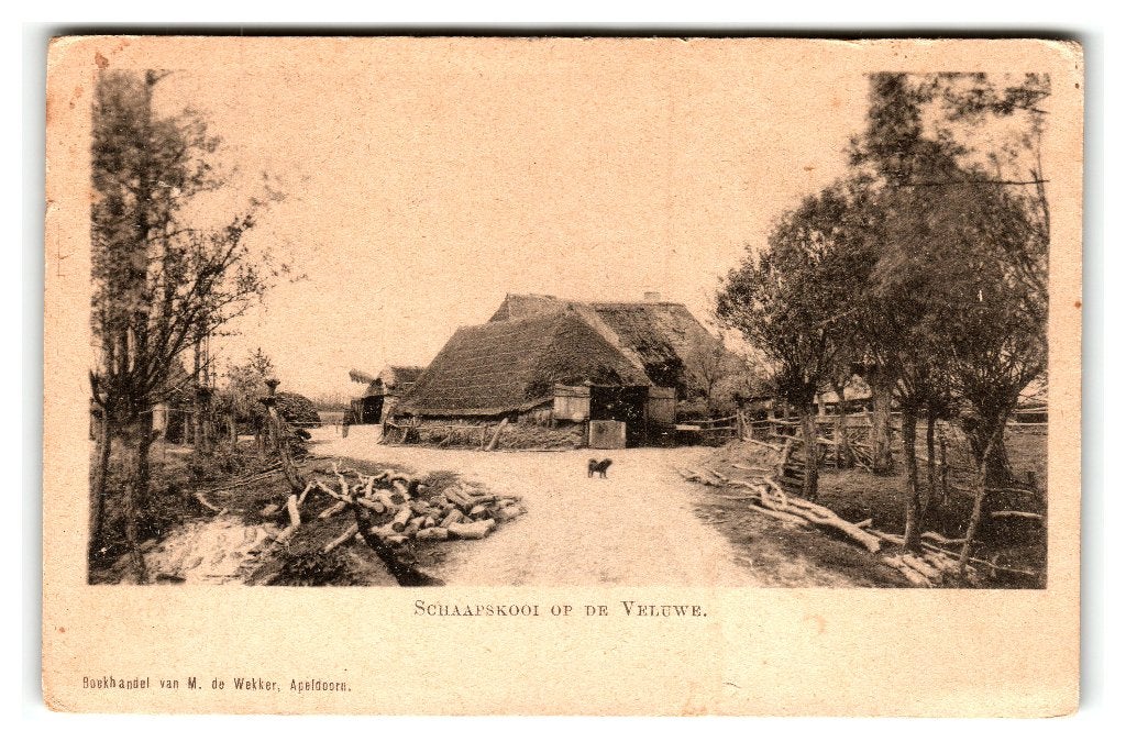 Veluwe, Schaapskooi op de Veluwe, Verzenden, Voor 1920, Ongelopen, Gelderland