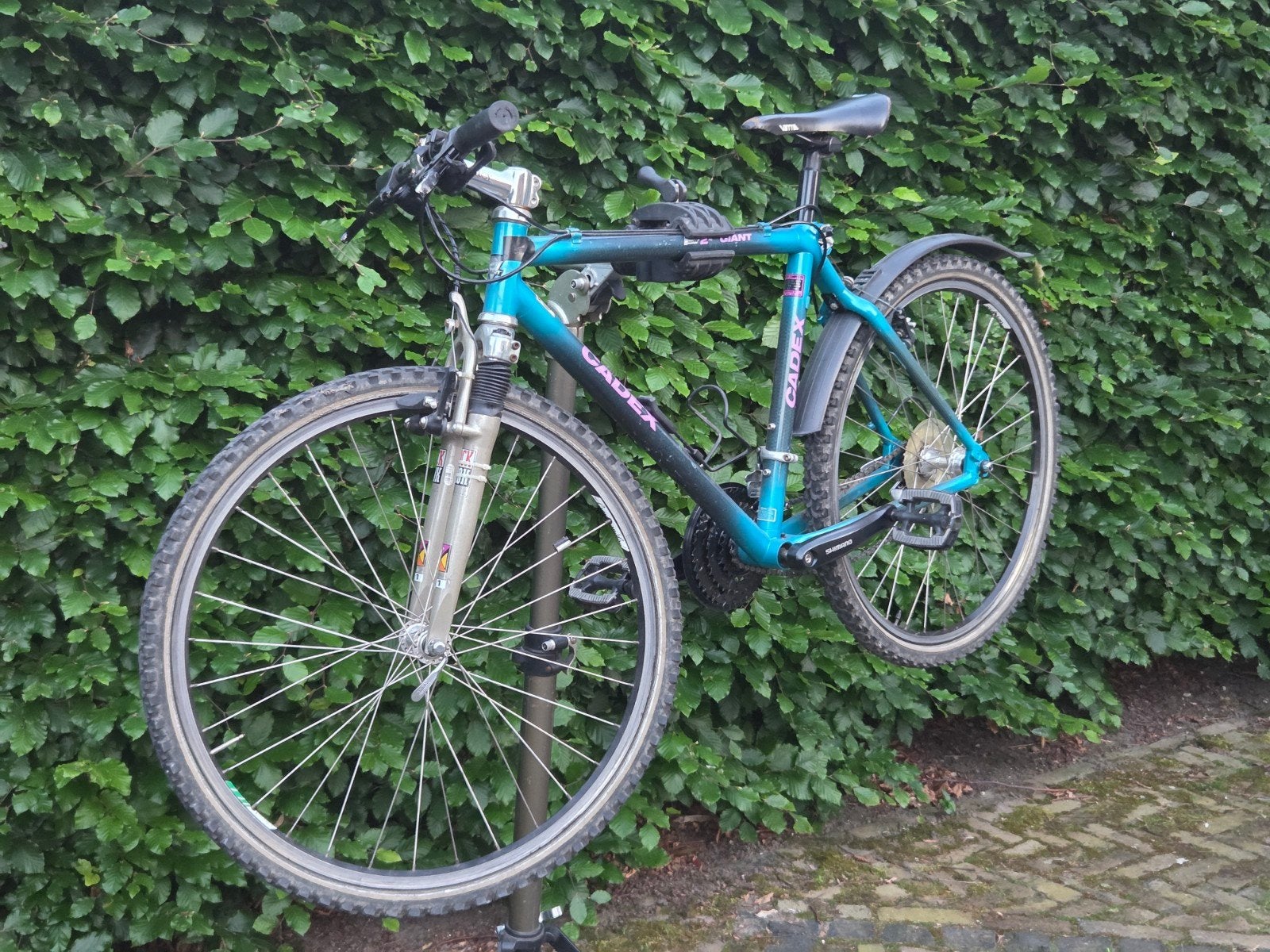 Gaint cadex carbod vintige race/mountainbike, Ophalen, Gebruikt, Giant