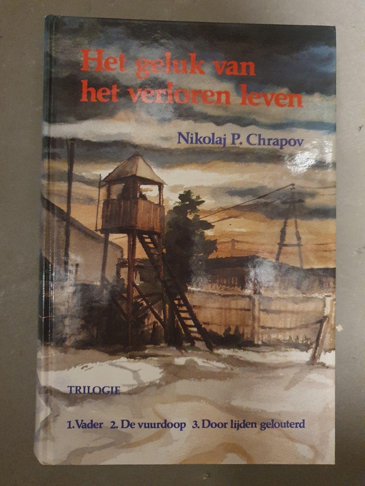 Het geluk van het verloren leven - N.P. Chrapov, Ophalen of Verzenden, Zo goed als nieuw, Christendom | Protestants
