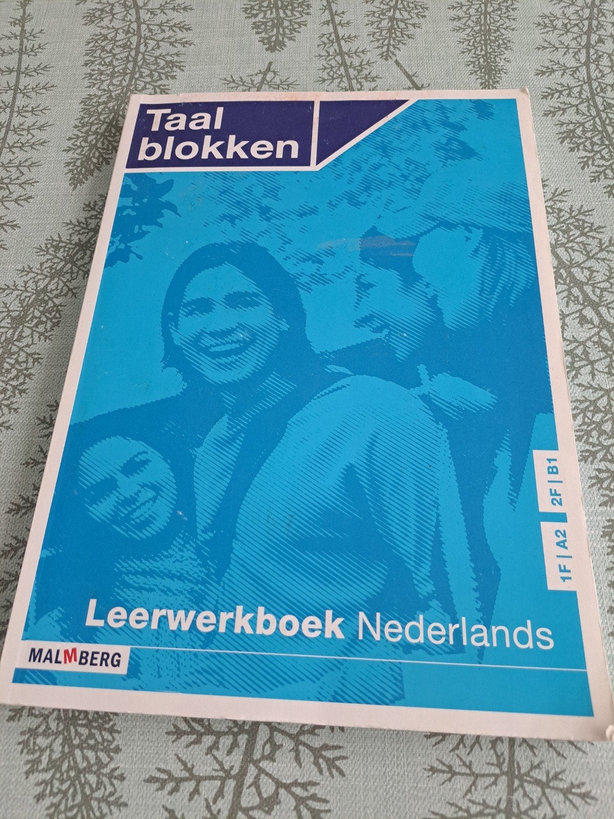 Nieuwe Taal Blokken.Leerwerkboek Nederlands 1F/A2,2F/B1, Boeken, Ophalen of Verzenden, Nieuw