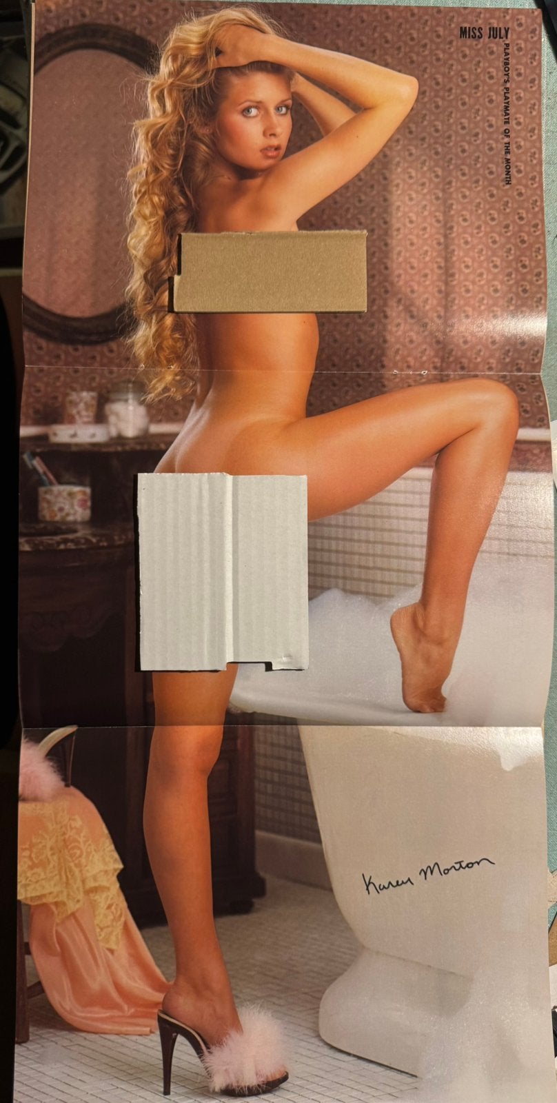 Poster 1978 Playmate Karen Elaine Morton, Verzamelen, Posters, Rechthoekig Staand, Verzenden, Deurposter of groter, Zo goed als nieuw