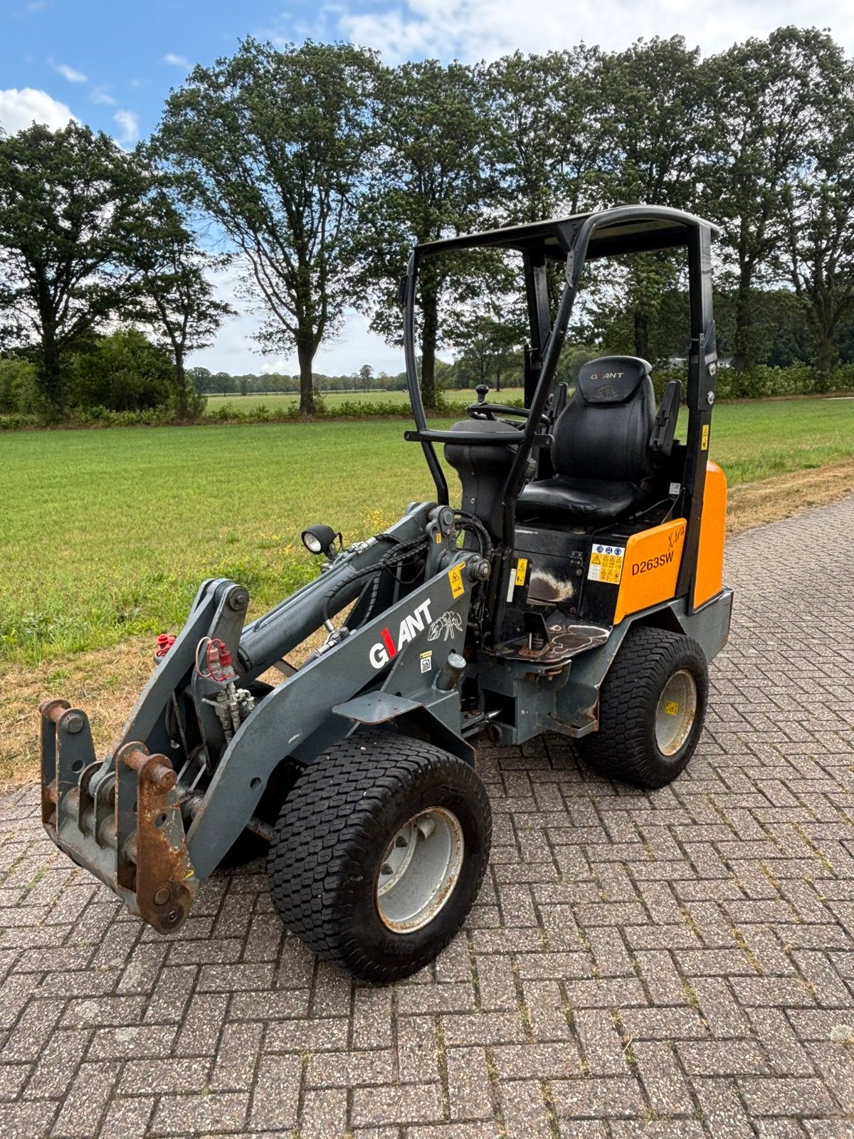 Giant 263 SW EXTRA mini shovel kniklader, Zakelijke goederen, Ophalen, Wiellader of Shovel