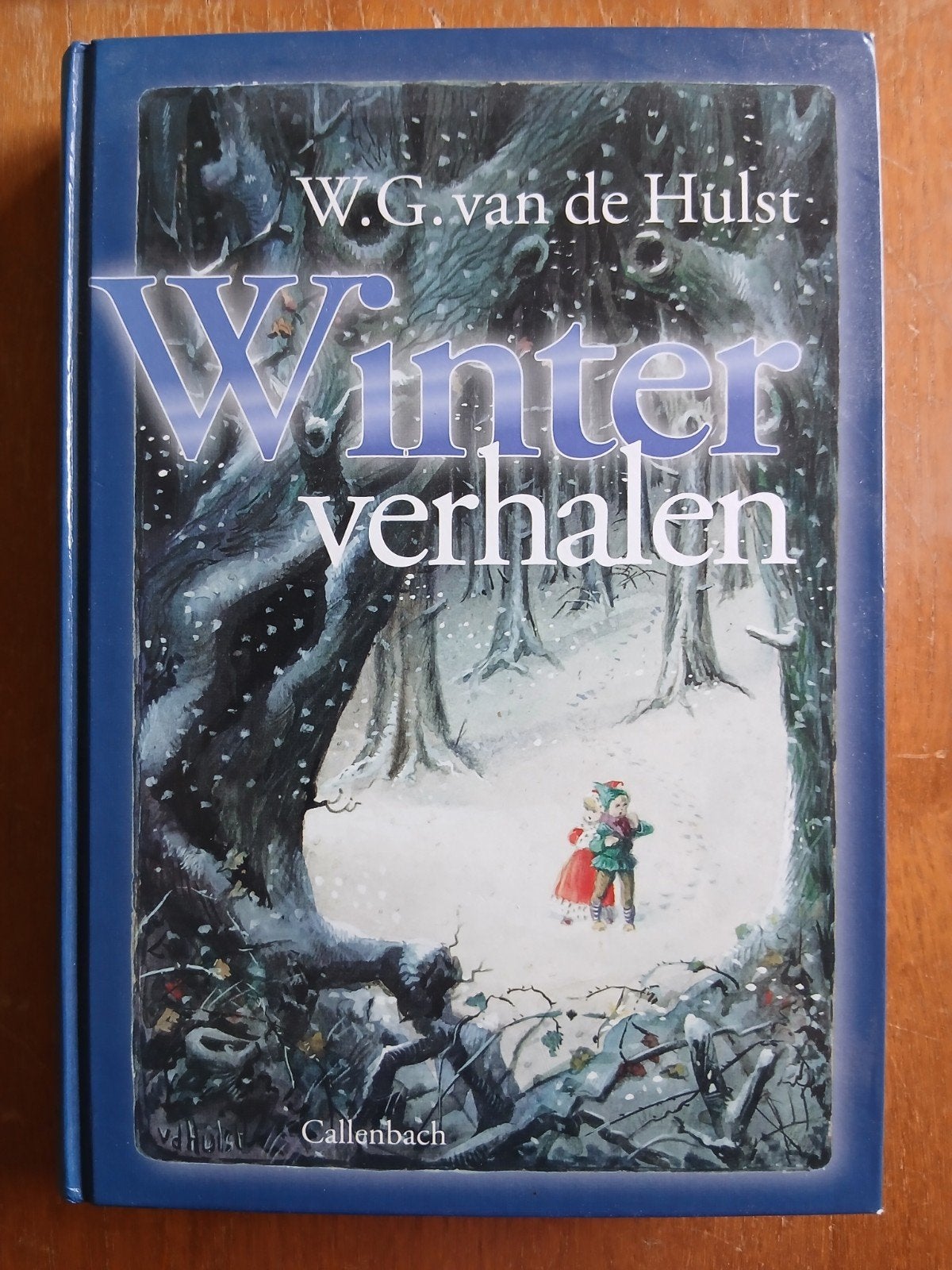 W.G. van de Hulst - Winterverhalen (Hardcover), Ophalen of Verzenden, Zo goed als nieuw, W.G. van de Hulst, Fictie algemeen