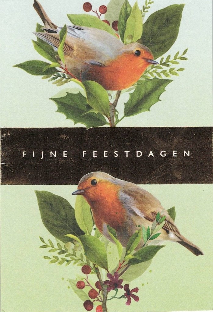 Roodborstje zit te kijken  559, Verzamelen, Ophalen of Verzenden, 1980 tot heden, Gelopen, Vogel