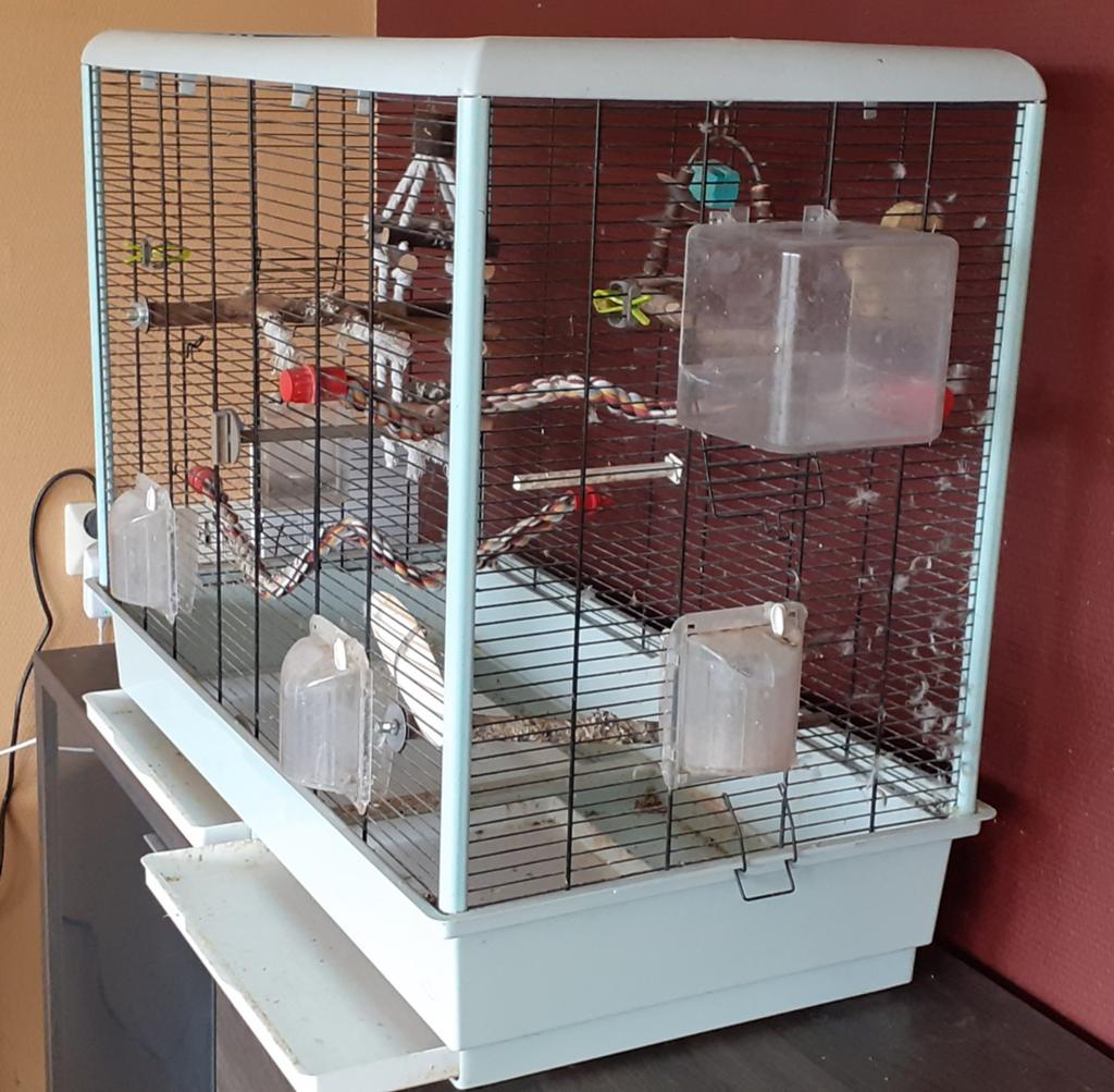 Te koop vogelkooi, Dieren en Toebehoren, Ophalen, Gebruikt, Metaal, Vogelkooi
