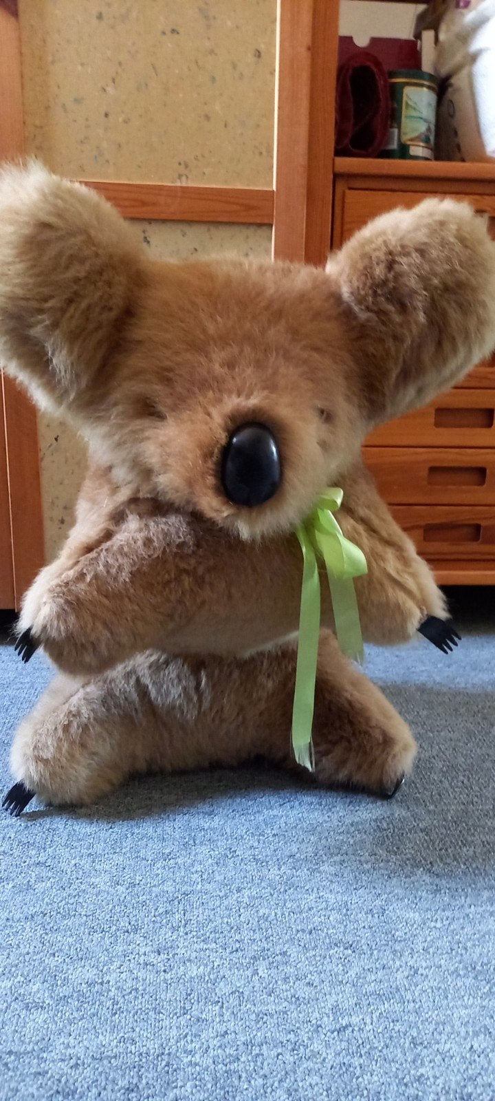 Levensechte Koala Opgezet Dier - 55cm hoog!, Ophalen, Gebruikt, Wild dier, Opgezet dier