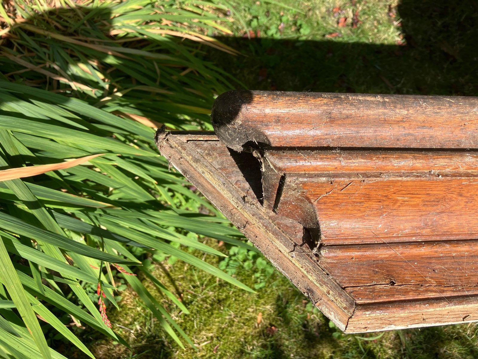 Bijzonder mooi gedetailleerde trapleuning te koop, Ophalen, Gebruikt, Trap, 2 tot 4 meter